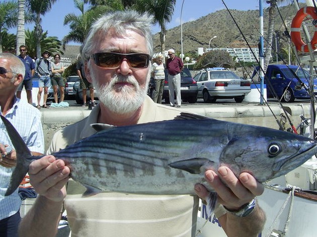 03/04 north atlantic bonito Cavalier & Blue Marlin Sport Fishing Gran Canaria