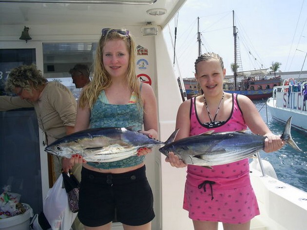 skipjack tuna Cavalier & Blue Marlin Sport Fishing Gran Canaria