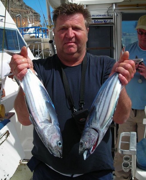 skipjack tuna Cavalier & Blue Marlin Sport Fishing Gran Canaria