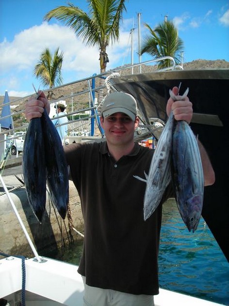 skipjack tuna Cavalier & Blue Marlin Sport Fishing Gran Canaria