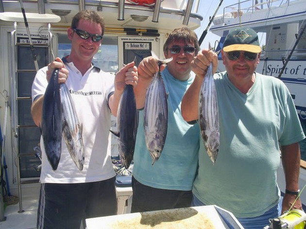 21/04 skipjack tuna Cavalier & Blue Marlin Sport Fishing Gran Canaria