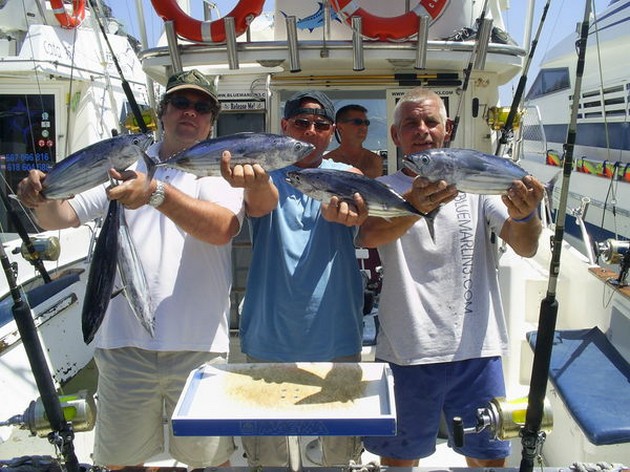 Idag chartrades Blue Marlin 3 av Ton Wolfs - Cavalier & Blue Marlin Sport Fishing Gran Canaria