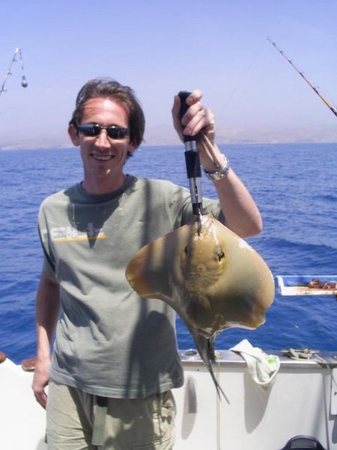 stingray Cavalier & Blue Marlin Sport Fishing Gran Canaria