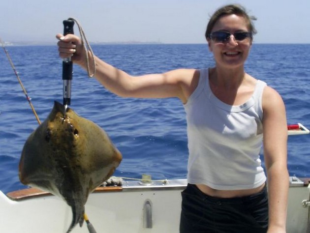 common stingary Cavalier & Blue Marlin Sport Fishing Gran Canaria