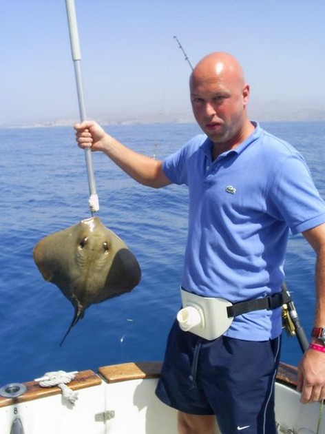 common stingray Cavalier & Blue Marlin Sport Fishing Gran Canaria