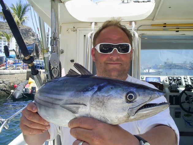 atlantic bonito Cavalier & Blue Marlin Sport Fishing Gran Canaria