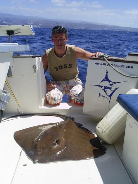 common stingray Cavalier & Blue Marlin Sport Fishing Gran Canaria