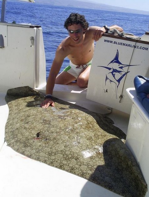07/05 butterfly ray Cavalier & Blue Marlin Sport Fishing Gran Canaria