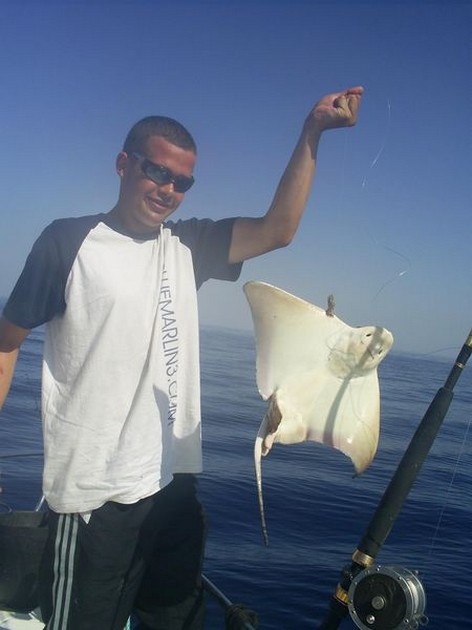 eagle ray Cavalier & Blue Marlin Sport Fishing Gran Canaria