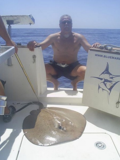 roughtail stingray Cavalier & Blue Marlin Sport Fishing Gran Canaria