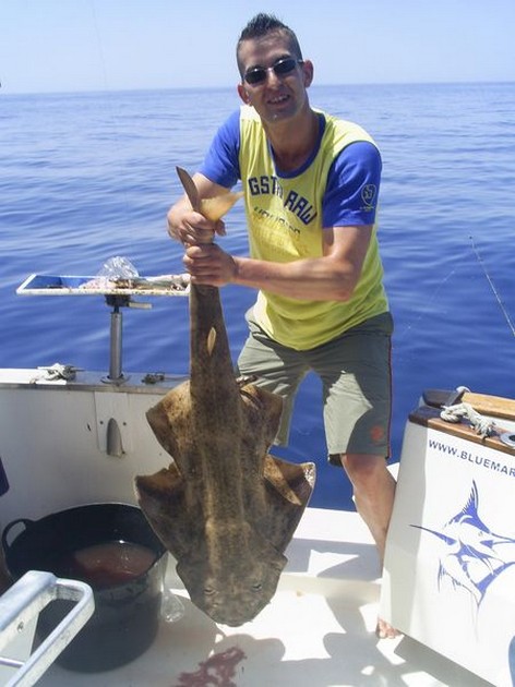 angelshark Cavalier & Blue Marlin Sport Fishing Gran Canaria