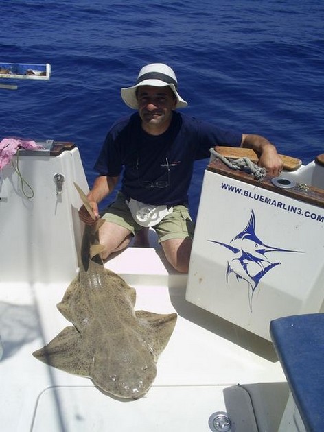 angelshark Cavalier & Blue Marlin Sport Fishing Gran Canaria