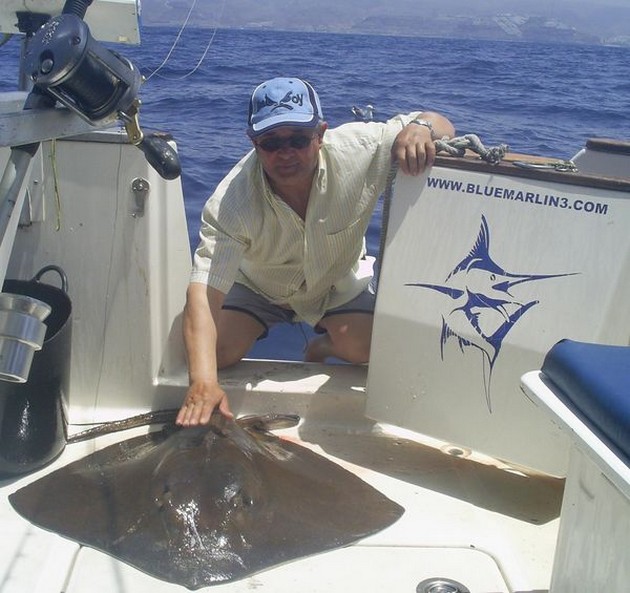 common stingray Cavalier & Blue Marlin Sport Fishing Gran Canaria