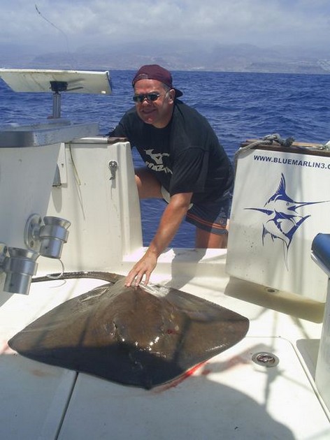 common stingray Cavalier & Blue Marlin Sport Fishing Gran Canaria