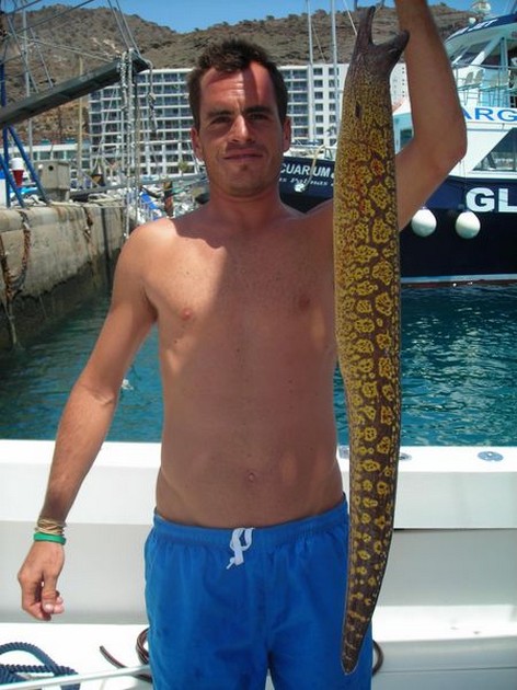 tiger moray Cavalier & Blue Marlin Sport Fishing Gran Canaria
