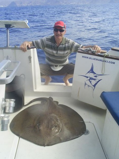 roughtail stingray Cavalier & Blue Marlin Sport Fishing Gran Canaria