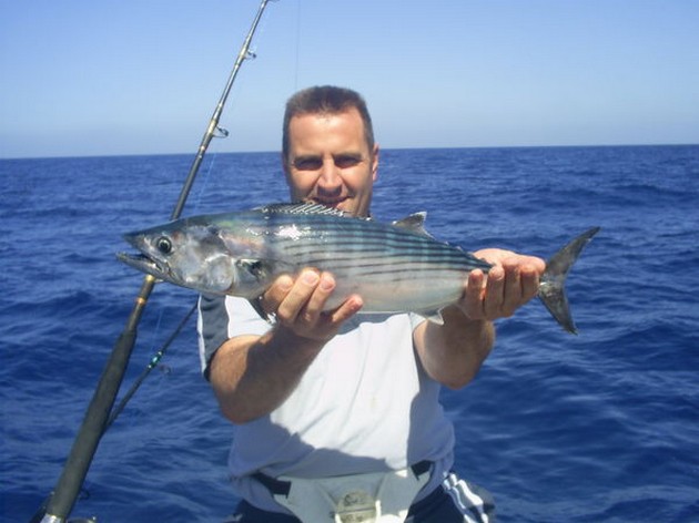 También hoy capturamos otro angelote. Después de una pelea - Cavalier & Blue Marlin Sport Fishing Gran Canaria