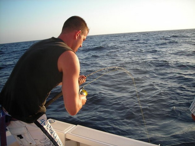 the fight Cavalier & Blue Marlin Sport Fishing Gran Canaria