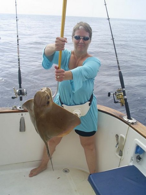 eagle ray Cavalier & Blue Marlin Sport Fishing Gran Canaria