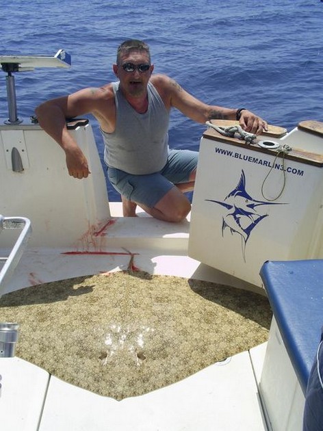 butterfly ray Cavalier & Blue Marlin Sport Fishing Gran Canaria