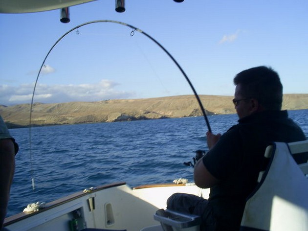Ayer 22/05 el Blue Marlin 3 pescó también una tarde - Cavalier & Blue Marlin Sport Fishing Gran Canaria