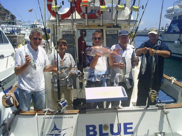 Today, three boats were trolling fishing.Only on the - Cavalier & Blue Marlin Sport Fishing Gran Canaria