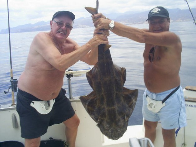 Today the photo's in our albums are coming from the - Cavalier & Blue Marlin Sport Fishing Gran Canaria