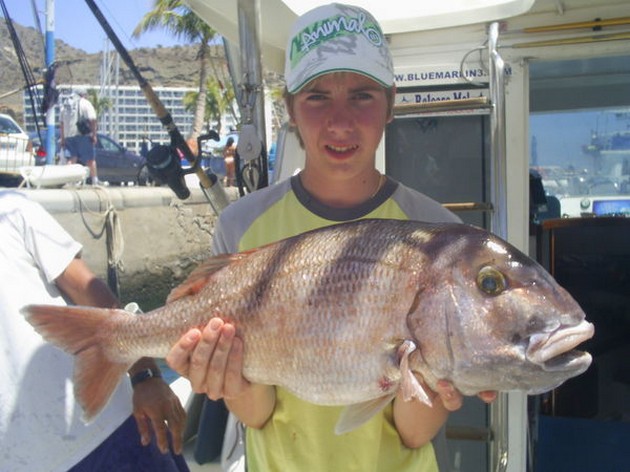 Puerto Rico 17.00 hrsRED SNAPPERSThis morning, three - Cavalier & Blue Marlin Sport Fishing Gran Canaria