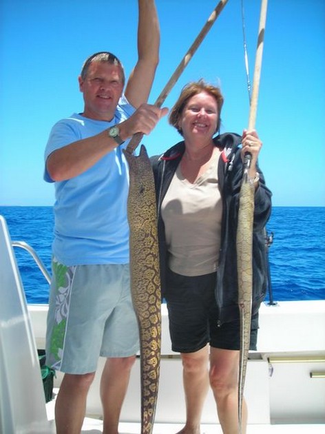tiger moray Cavalier & Blue Marlin Sport Fishing Gran Canaria