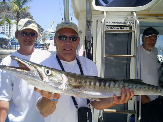 01/06 barcuda Cavalier & Blue Marlin Sport Fishing Gran Canaria