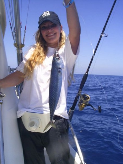 mackerel Cavalier & Blue Marlin Sport Fishing Gran Canaria