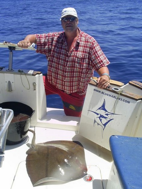 common stingray Cavalier & Blue Marlin Sport Fishing Gran Canaria