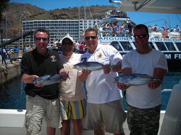 skipjack tuna Cavalier & Blue Marlin Sport Fishing Gran Canaria
