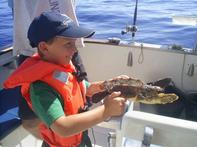 turtle Cavalier & Blue Marlin Sport Fishing Gran Canaria