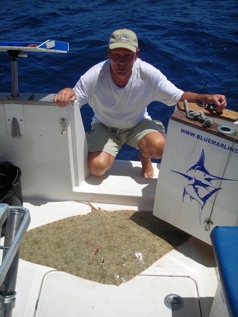 butterfly ray Cavalier & Blue Marlin Sport Fishing Gran Canaria