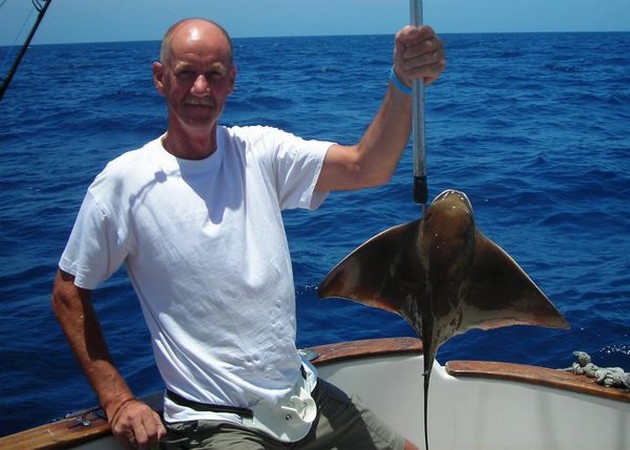 eagle ray Cavalier & Blue Marlin Sport Fishing Gran Canaria