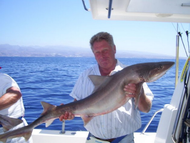 Puerto Rico - 18.30 hrsTOPE & SMOOTHHOUNDSIt was today - Cavalier & Blue Marlin Sport Fishing Gran Canaria