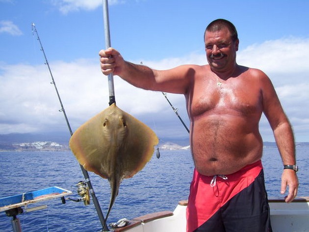 common stingray Cavalier & Blue Marlin Sport Fishing Gran Canaria