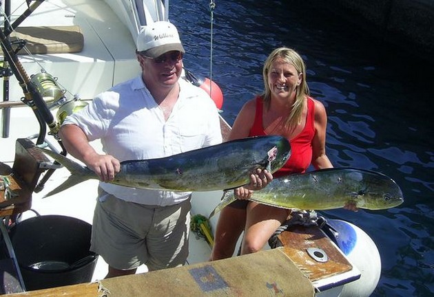 dorado Cavalier & Blue Marlin Sport Fishing Gran Canaria