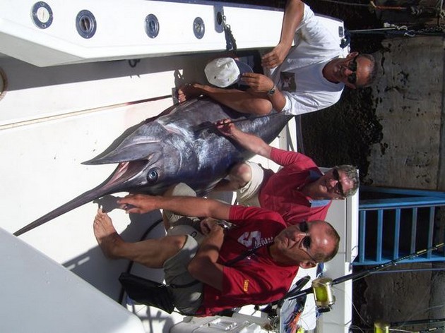 22/06 blue marlin Cavalier & Blue Marlin Sport Fishing Gran Canaria