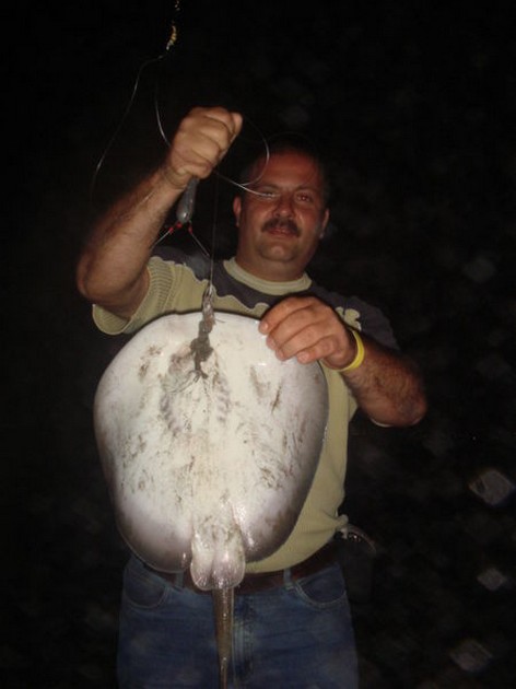 roughtail stingray Cavalier & Blue Marlin Sport Fishing Gran Canaria