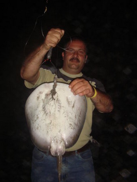 roughtail stingray Cavalier & Blue Marlin Sport Fishing Gran Canaria