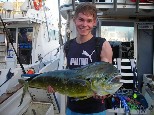 dorado Cavalier & Blue Marlin Sport Fishing Gran Canaria