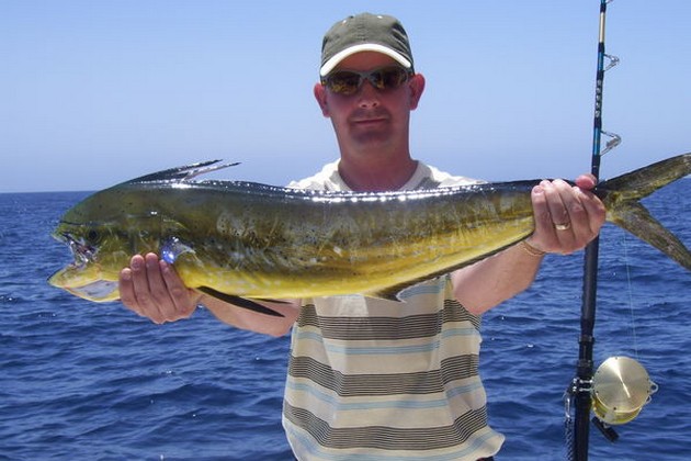 Puerto Rico - 18.30 o'clockMORE DORADO'SNot one of - Cavalier & Blue Marlin Sport Fishing Gran Canaria
