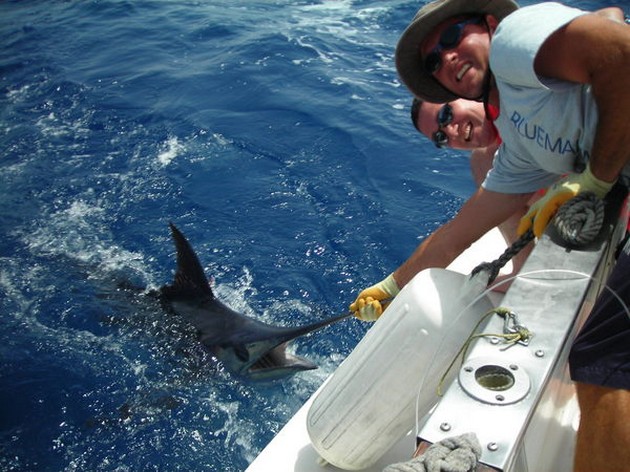 09/07 blue marlin Cavalier & Blue Marlin Sport Fishing Gran Canaria