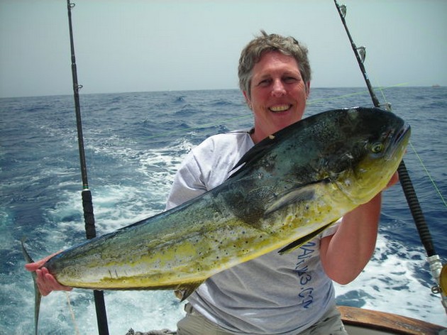 Puerto Rico - 21.15 horas DORADOTel Marlin Blanco se fue - Cavalier & Blue Marlin Sport Fishing Gran Canaria