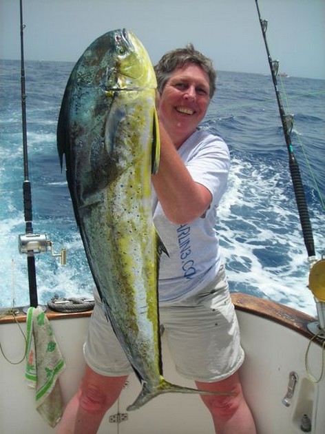 10/07 dorado - 29 lb Dorado caught by Petra van Ieperen Cavalier & Blue Marlin Sport Fishing Gran Canaria