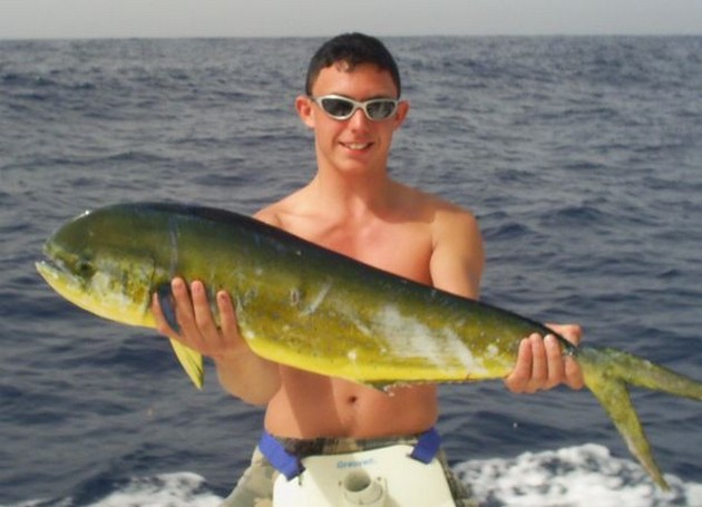 Puerto Rico - 23.30 en punto 2 PESCADOS CON ALZA Fue hoy, - Cavalier & Blue Marlin Sport Fishing Gran Canaria