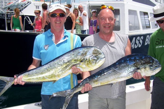dorado's Cavalier & Blue Marlin Sport Fishing Gran Canaria
