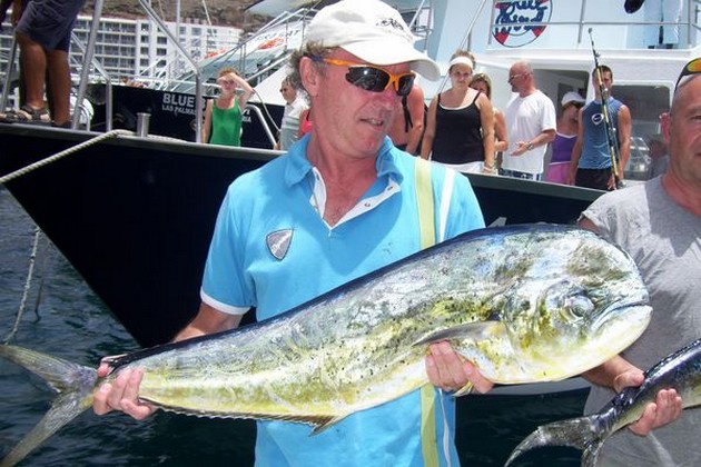 dorado Cavalier & Blue Marlin Sport Fishing Gran Canaria